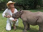 Tatenda the Hippo